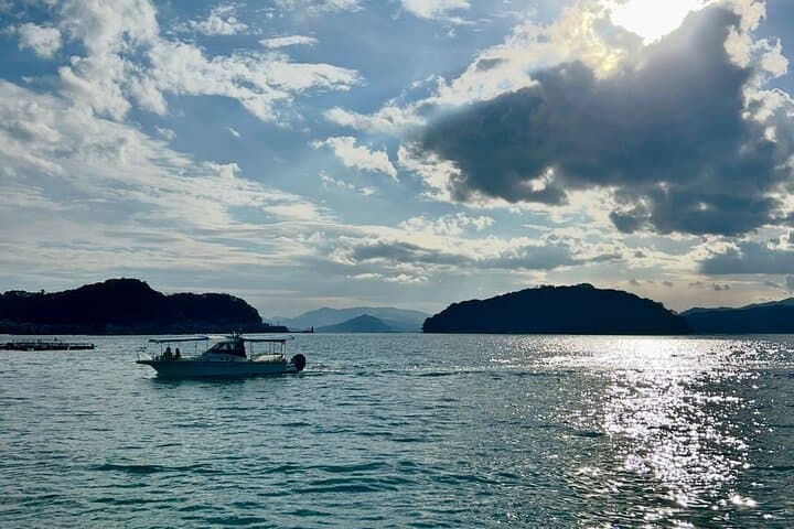 Kyoto Private Car Tour with English Guide Driver (Amanohashidate) — photo 11
