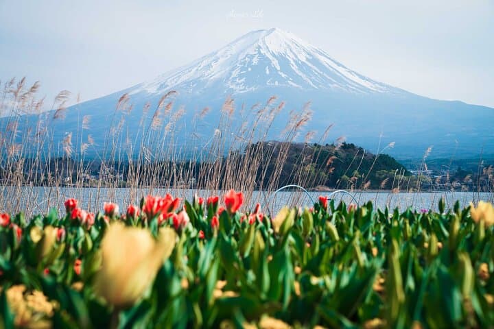 From Tokyo: Mt. Fuji 6 Attractions: Lake Kawaguchi, Oshino Hakkai — photo 18