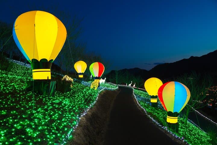Mt. Fuji 5th Popular Spots & Sagamiko Illumination Tour fr Tokyo — photo 9