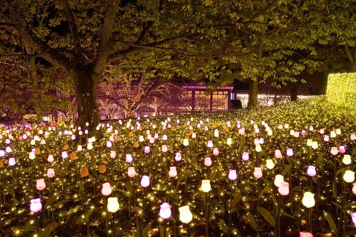 Mt. Fuji 5th Popular Spots & Sagamiko Illumination Tour fr Tokyo — photo 16
