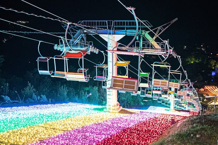 Mt. Fuji 5th Popular Spots & Sagamiko Illumination Tour fr Tokyo — photo 3