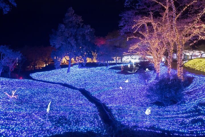 Mt. Fuji 5th Popular Spots & Sagamiko Illumination Tour fr Tokyo — photo 19