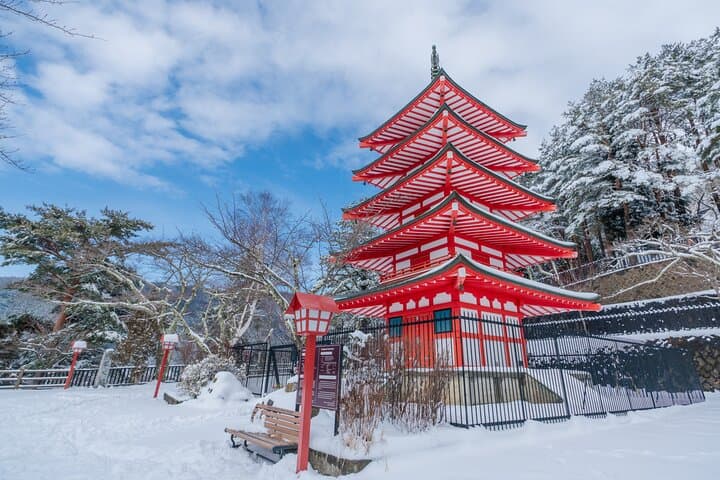 Mt. Fuji 5th Popular Spots & Sagamiko Illumination Tour fr Tokyo — photo 8