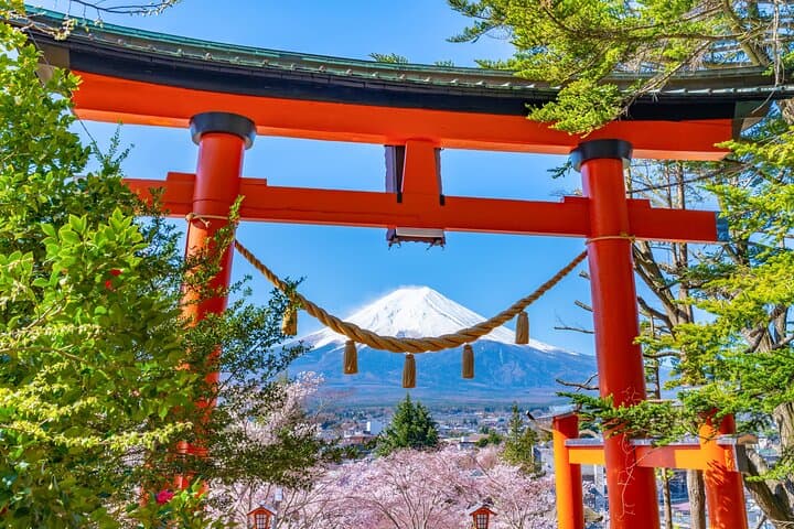Mt. Fuji 5th Popular Spots & Sagamiko Illumination Tour fr Tokyo — photo 15