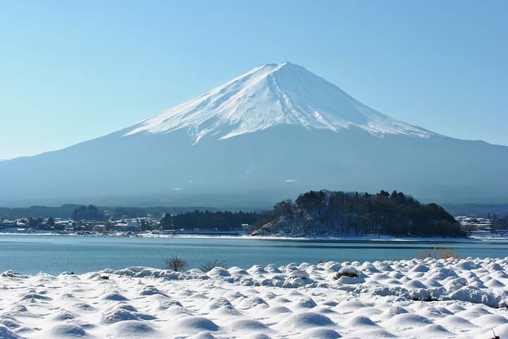 Mt. Fuji 5th Popular Spots & Sagamiko Illumination Tour fr Tokyo — photo 6