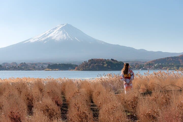 Mt. Fuji 5th Popular Spots & Sagamiko Illumination Tour fr Tokyo — photo 13