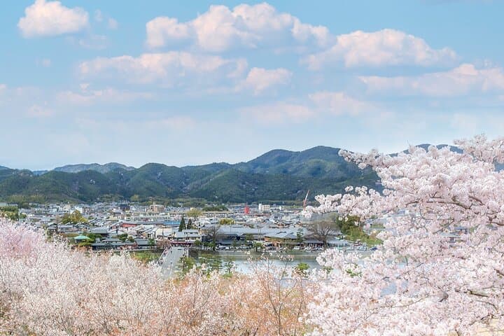 Private Car Tours to Kyoto and Maizuru — photo 9