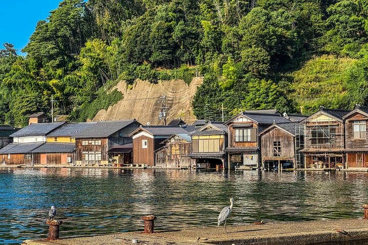 Private Car Tours to Kyoto and Maizuru — photo 7
