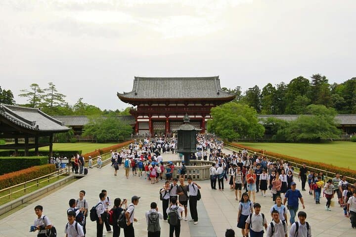Discover Himeji, Kobe and Nara from Osaka — photo 16