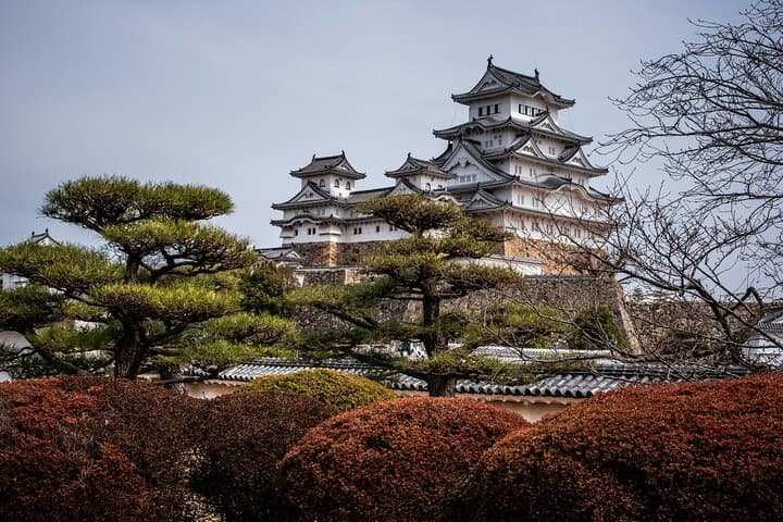 Discover Himeji, Kobe and Nara from Osaka — photo 19