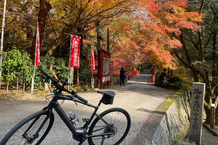 Private E-bike tour of Old Kyoto — photo 1