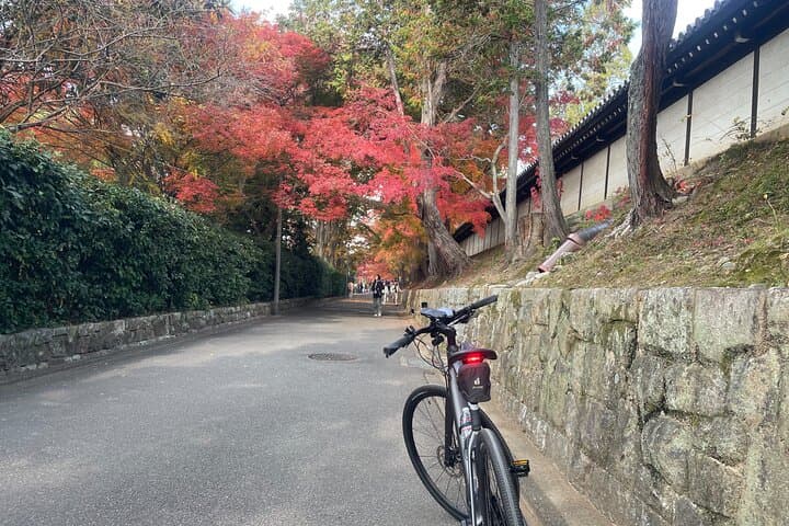 Private E-bike tour of Old Kyoto — photo 7
