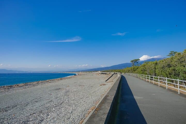 Private Numazu Tour with Lisenced Guide by Car — photo 2