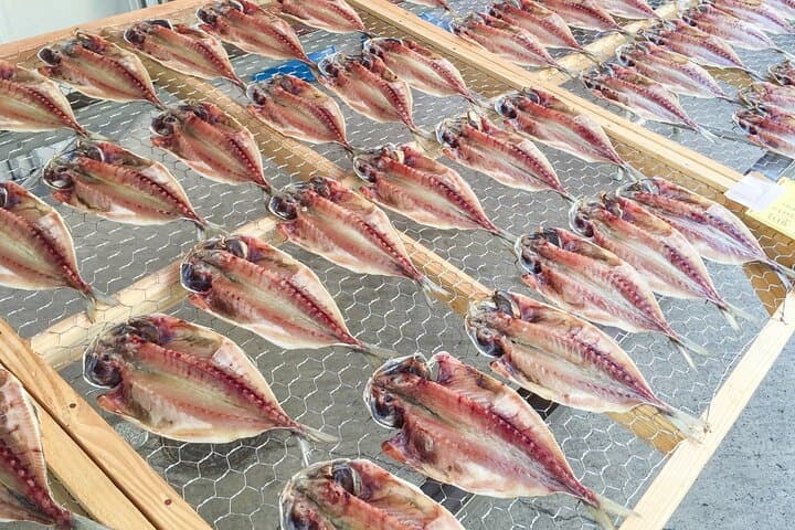 Private Numazu Tour with Lisenced Guide by Car — photo 5