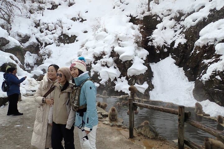 Private Snow Monkey & Frozen Waterfall — Nagano Winter Tour — photo 16