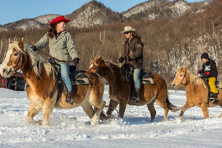 Horseback-Riding in a Country Side in Sapporo - Private Transfer is Included — photo 11