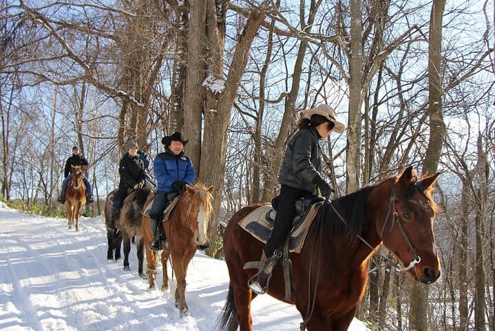 Horseback-Riding in a Country Side in Sapporo - Private Transfer is Included — photo 13