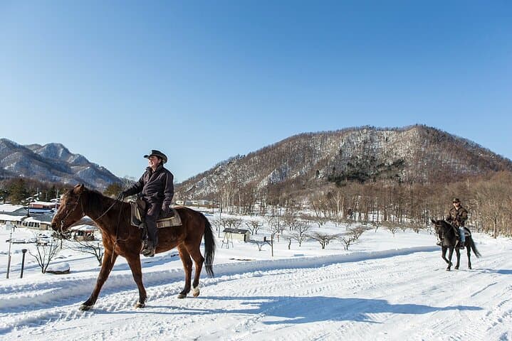 Horseback-Riding in a Country Side in Sapporo - Private Transfer is Included — photo 12