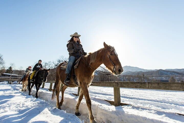 Horseback-Riding in a Country Side in Sapporo - Private Transfer is Included — photo 10