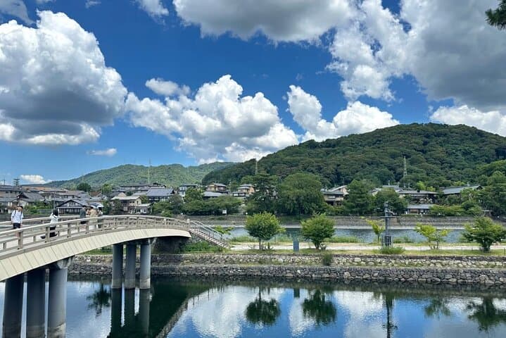 Private Tour by Car with Pickup in Osaka 9 pax max — photo 10