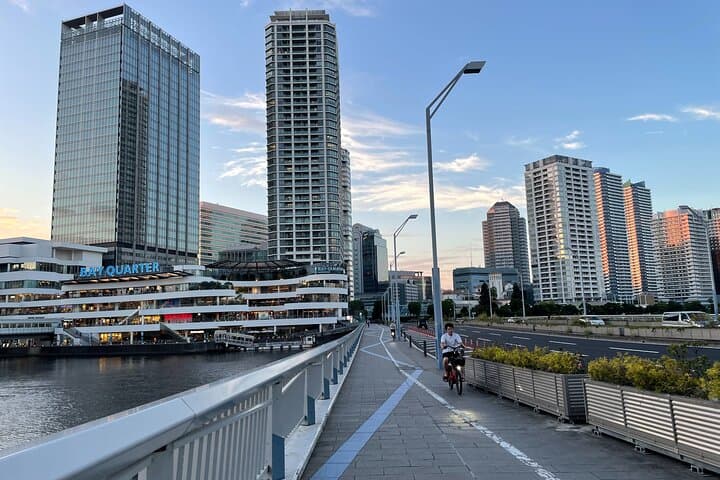 Half-Day in Tokyo - Uncovered Gems — photo 6