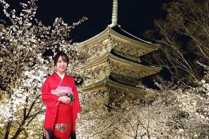 Take indoor Photos wearing Traditional Kimono — photo 1
