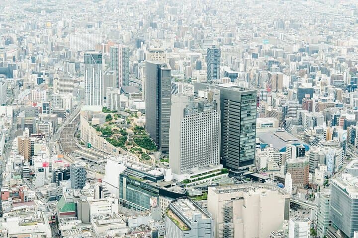 Osaka Private Cessna Flight Over Osaka Castle and UNESCO Sites — photo 5