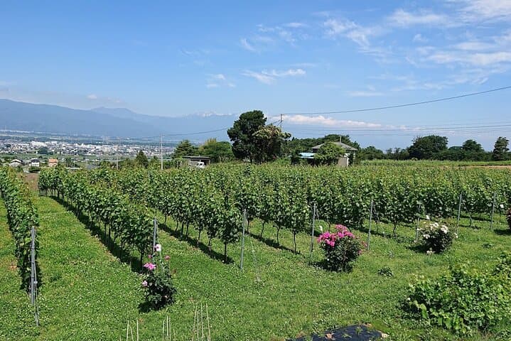 Mountains Craft Wines with Purpose Shiojiri — photo 1