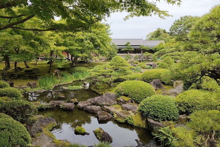 Art and Gardens of Sakaiminato by Private Car — photo 11