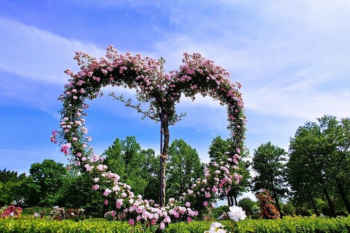 Art and Gardens of Sakaiminato by Private Car — photo 16