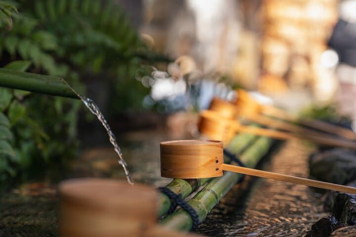 Kyoto, Nara, Osaka One Day Trip — photo 2
