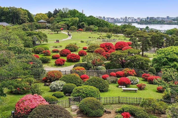 Hitachi Seaside Park and Mito Highlights Tour — photo 6