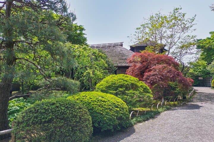 Hitachi Seaside Park and Mito Highlights Tour — photo 7