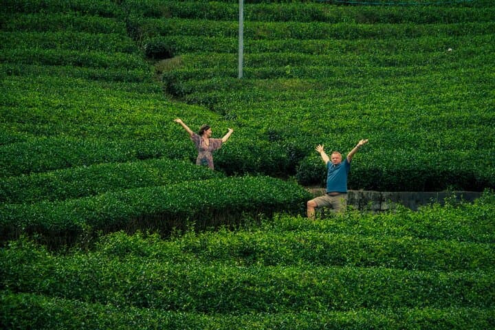 Scenic Green Tea Fields of Hidden Kyoto & Local Tea Exp (Private) — photo 2