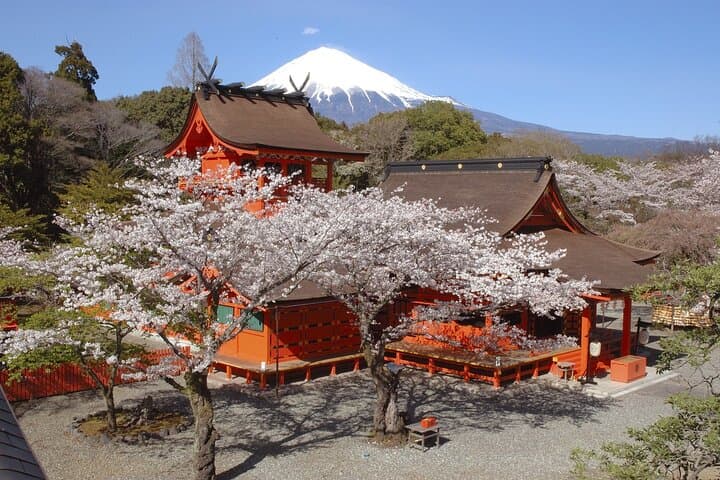 Mt Fuji Views Tour by Bullet Train Hokusai Train and Wasabi Farm — photo 3