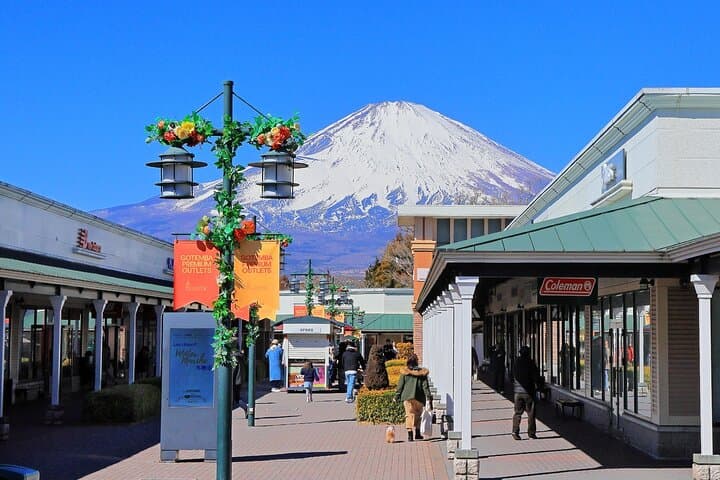Mt Fuji Views Tour by Bullet Train Hokusai Train and Wasabi Farm — photo 6