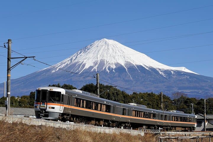 Mt Fuji Views Tour by Bullet Train Hokusai Train and Wasabi Farm — photo 1