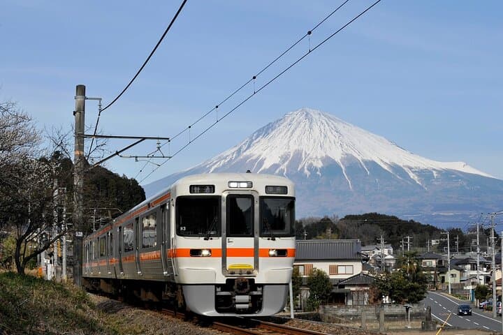 Mt Fuji Views Tour by Bullet Train Hokusai Train and Wasabi Farm — photo 14