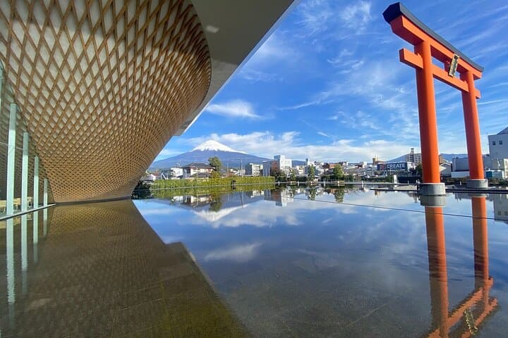 Mt Fuji Views Tour by Bullet Train Hokusai Train and Wasabi Farm — photo 9