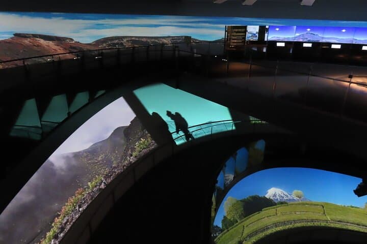 Mt Fuji Views Tour by Bullet Train Hokusai Train and Wasabi Farm — photo 12