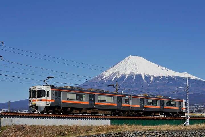 Mt Fuji Views Tour by Bullet Train Hokusai Train and Wasabi Farm — photo 8