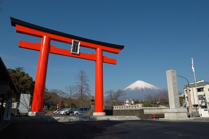 Mt Fuji Views Tour by Bullet Train Hokusai Train and Wasabi Farm — photo 15