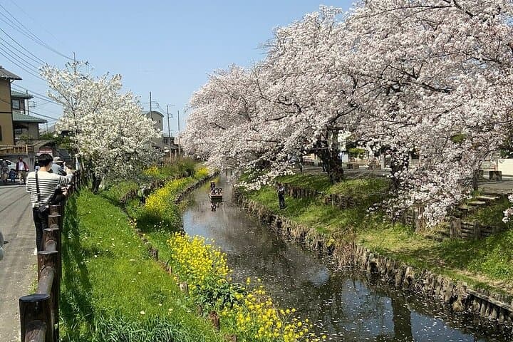 Private Day Trip to Kawagoe Little Edo and Optional Harry Potter — photo 3