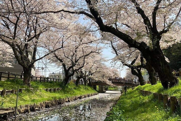 Private Day Trip to Kawagoe Little Edo and Optional Harry Potter — photo 4