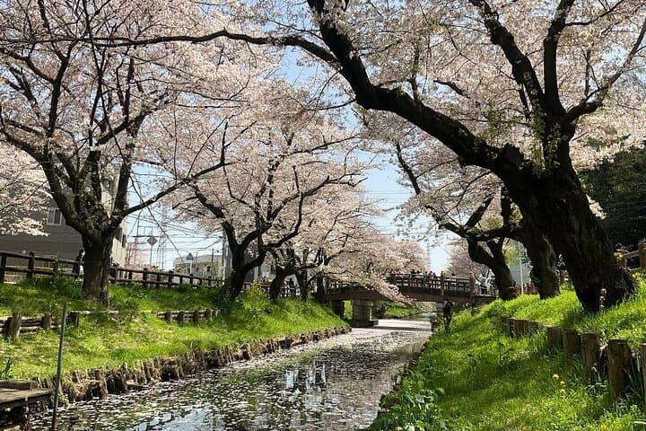 Private Day Trip to Kawagoe Little Edo and Optional Harry Potter — photo 5