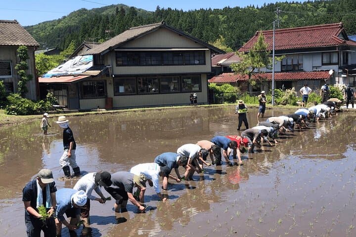 Toyota Green Life Experience Seasonal Farm with Farmers in Inabu