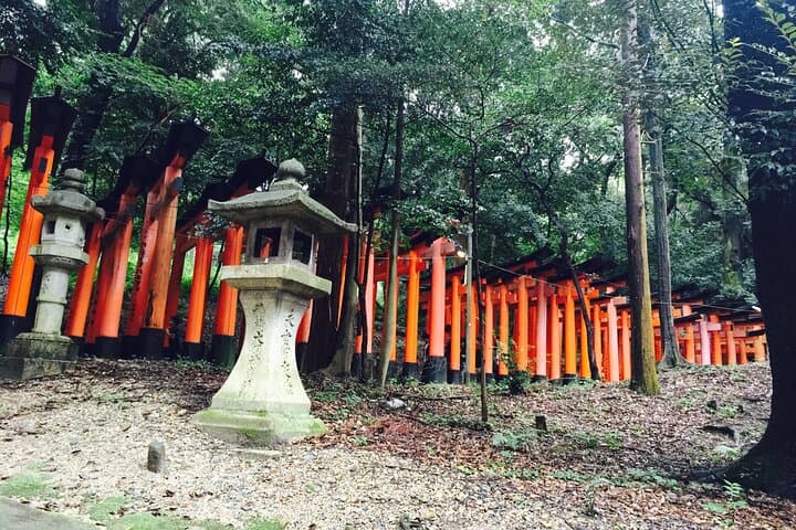 From Osaka: Kyoto and Nara Day Trip — photo 5