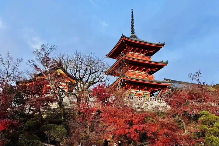 From Osaka: Kyoto and Nara Day Trip — photo 3
