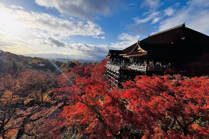 From Osaka: Kyoto and Nara Day Trip — photo 2