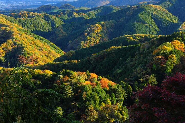 Mount Takao Spiritual Experience with Monk and Ukai Toriyama — photo 8
